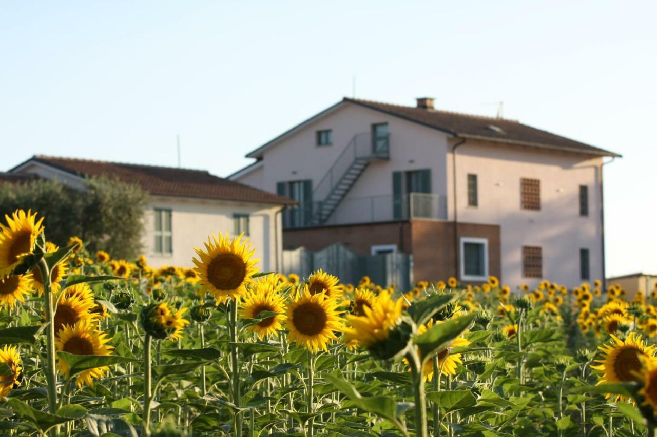 Villa La Collina del Girasole Montecastrilli Esterno foto