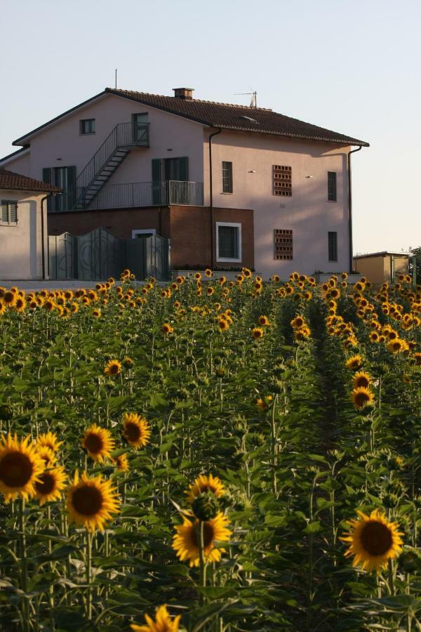 Villa La Collina del Girasole Montecastrilli Esterno foto