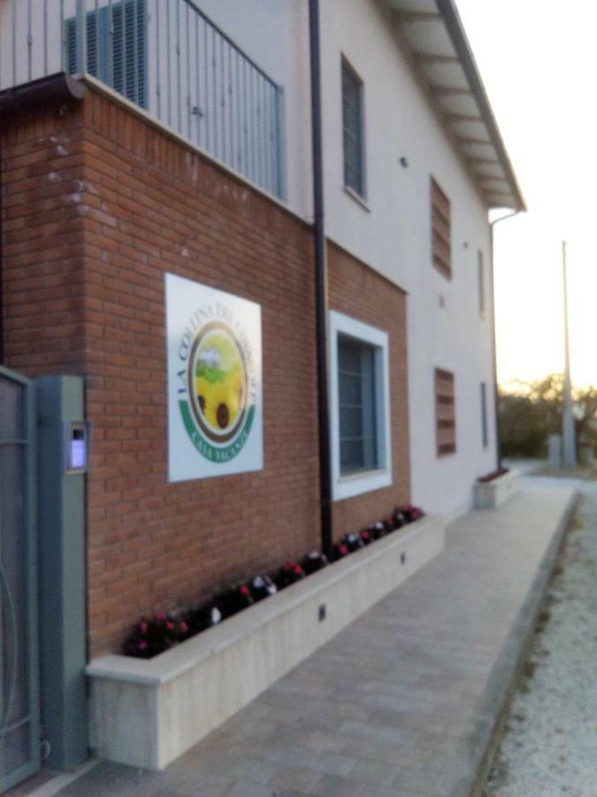 Villa La Collina del Girasole Montecastrilli Esterno foto
